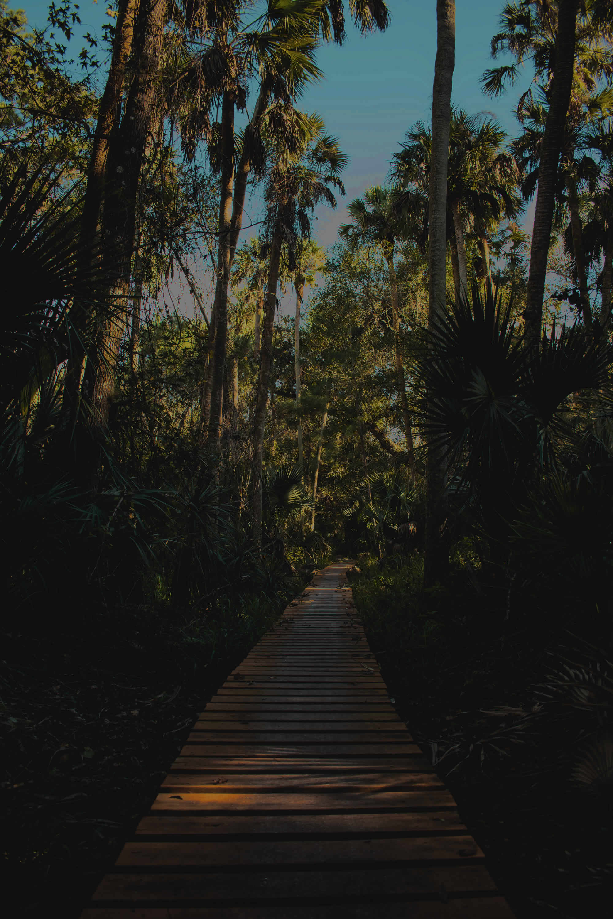 Authentication image